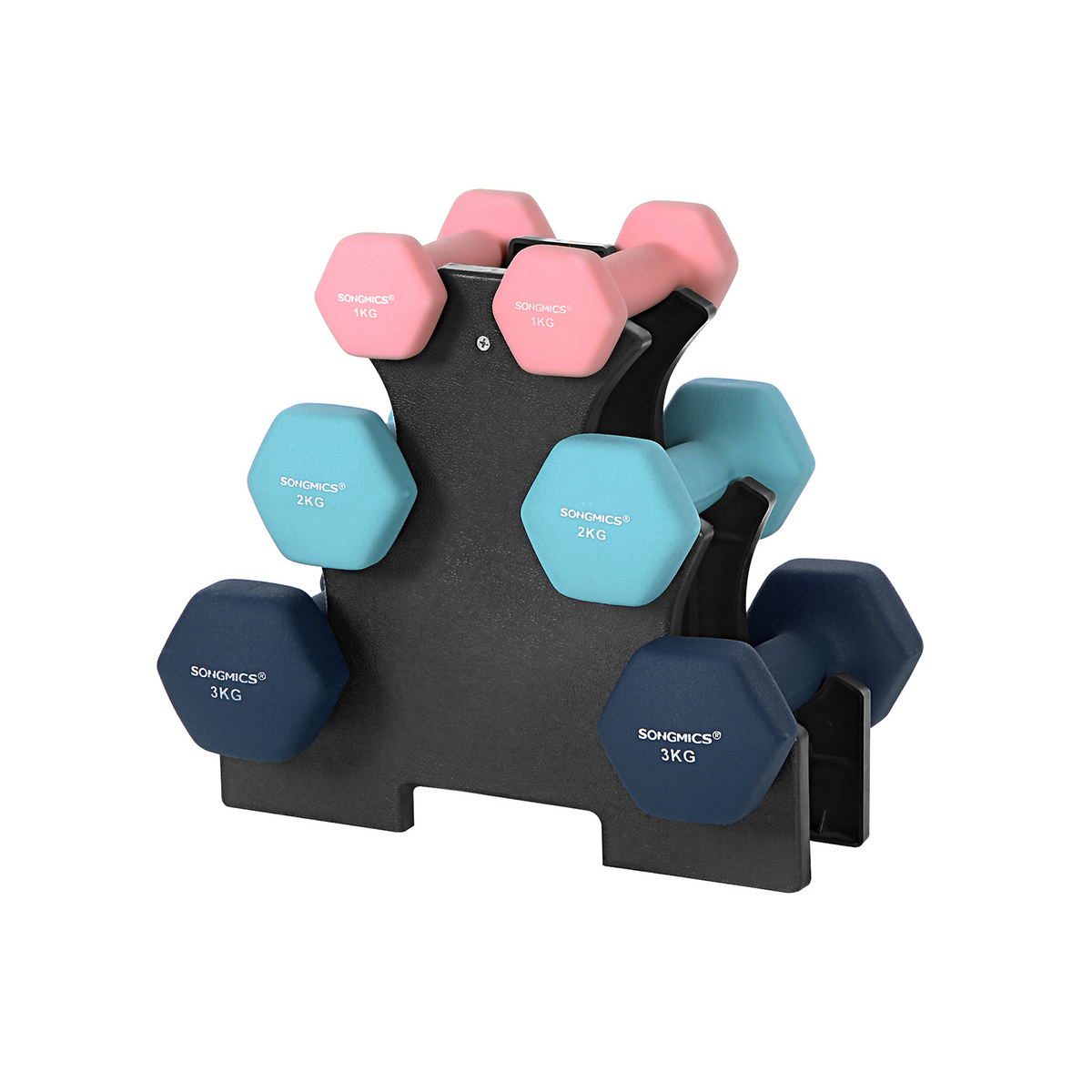 Songmics hantlar, 2 × 1/2/3 kg, rosa/aqua/blå, SYL612MK