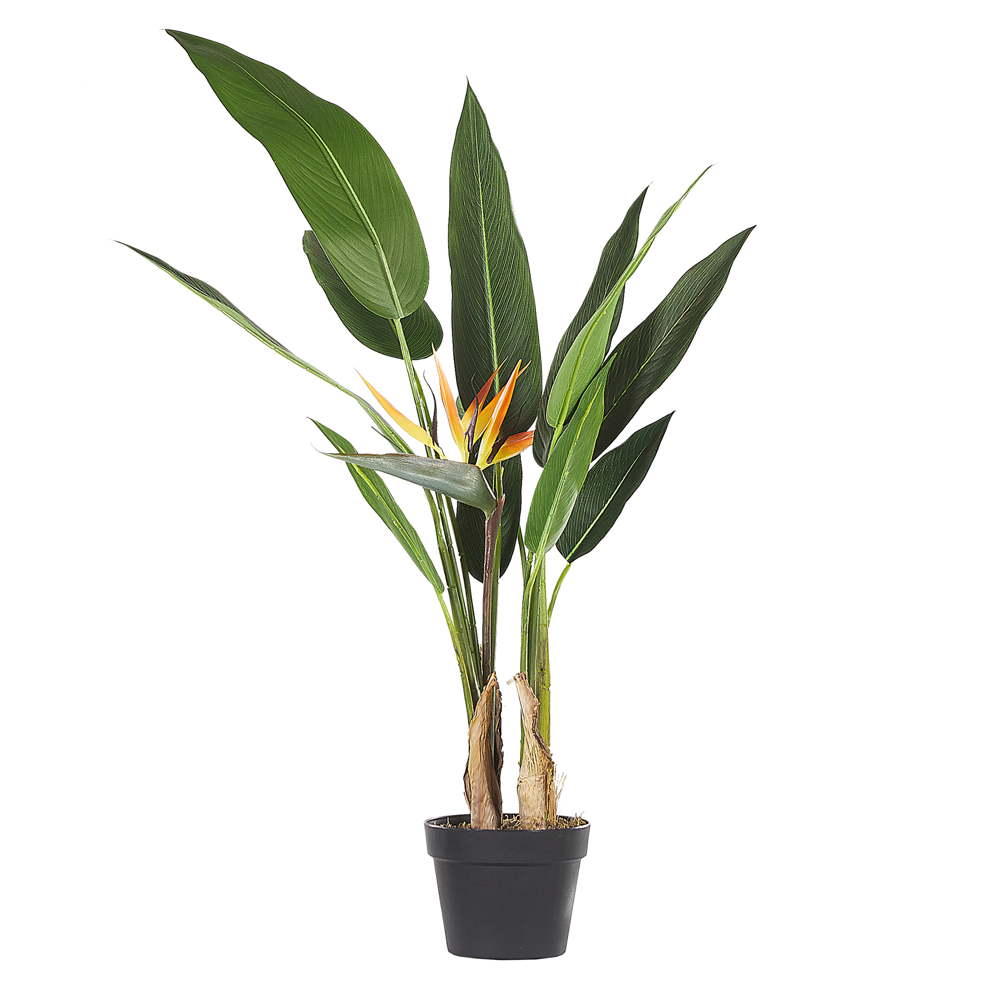 Konstgjord växt STRELITZIA TREE 115 cm Grön