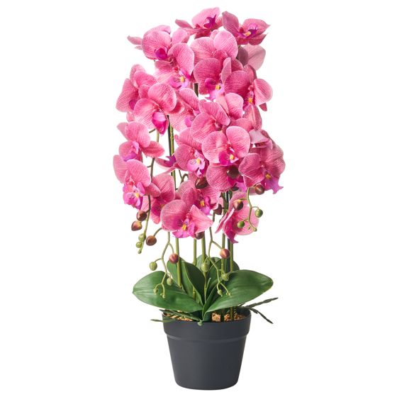 Konstgjord växt ORCHID 65 cm Rosa