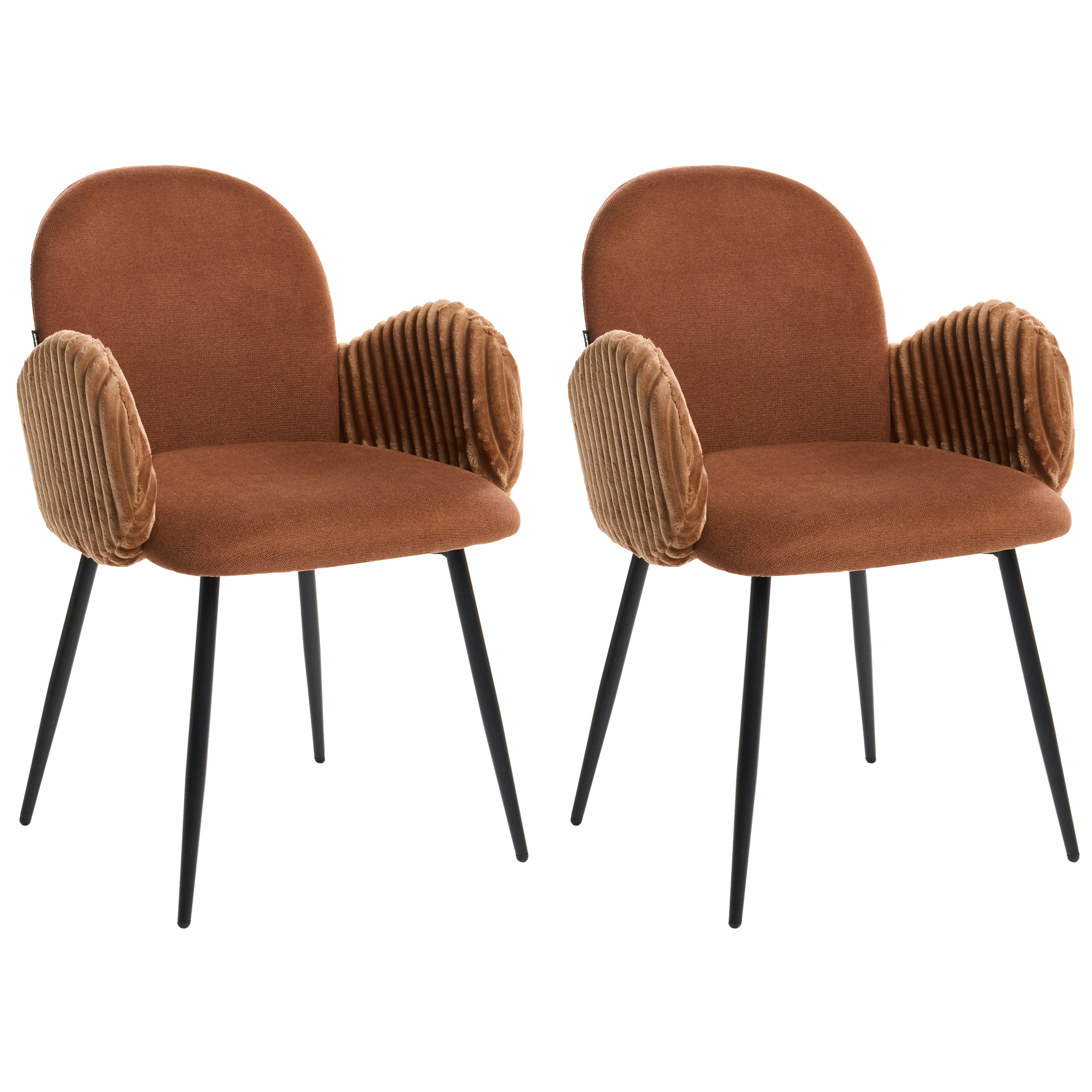 Set med 2 matstolar AMITY Brun