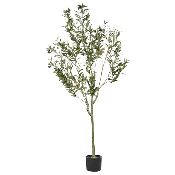 Konstgjord växt OLIVE TREE 153 cm Grön