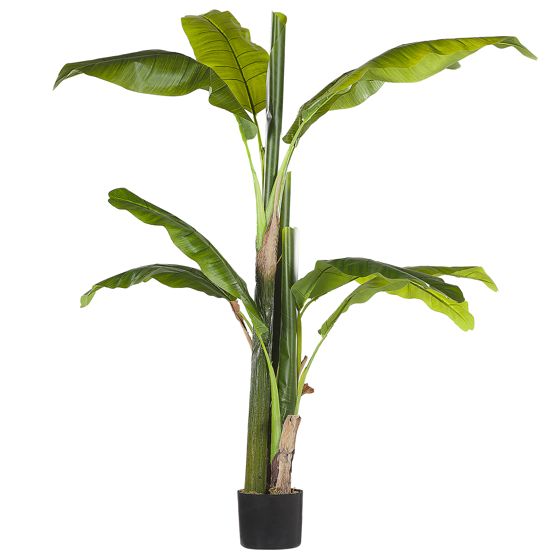 Konstgjord växt MUSA TREE 154 cm Grön