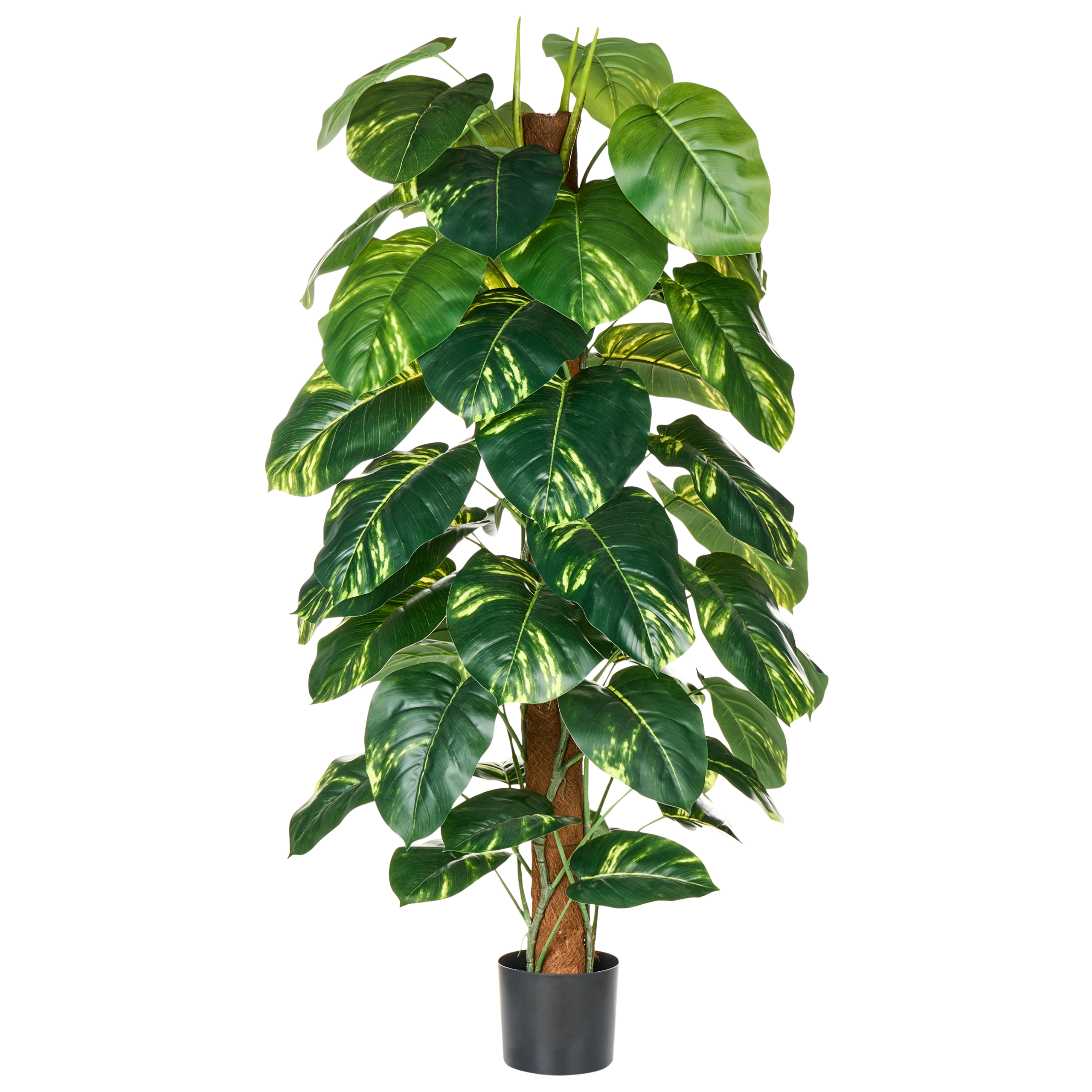 Konstgjord växt DIEFFENBACHIA 152 cm Grön