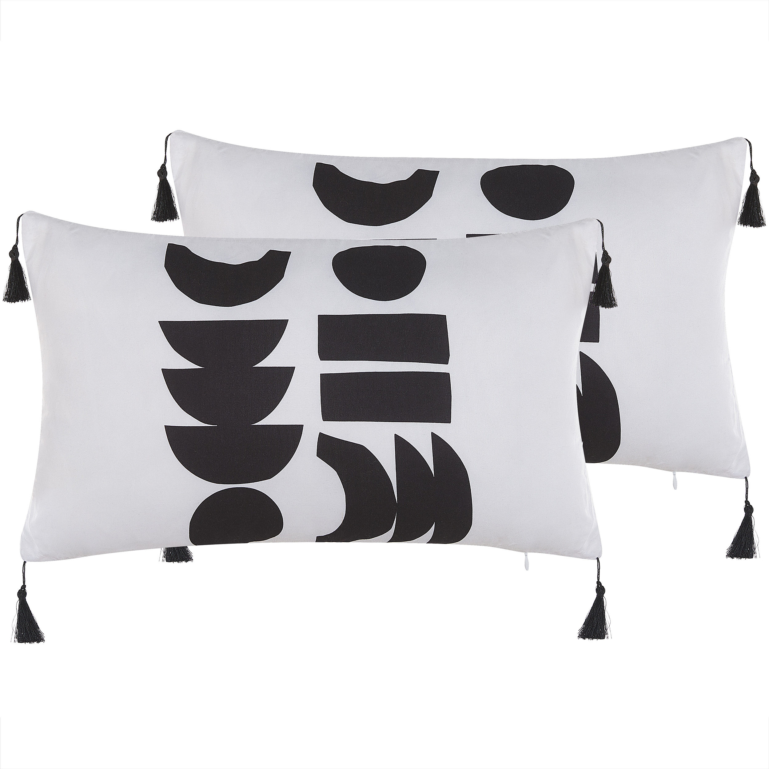 Set med 2 prydnadskuddar LIRIOPE 30 x 50 cm Svart/ Vit Geometriskt tryck