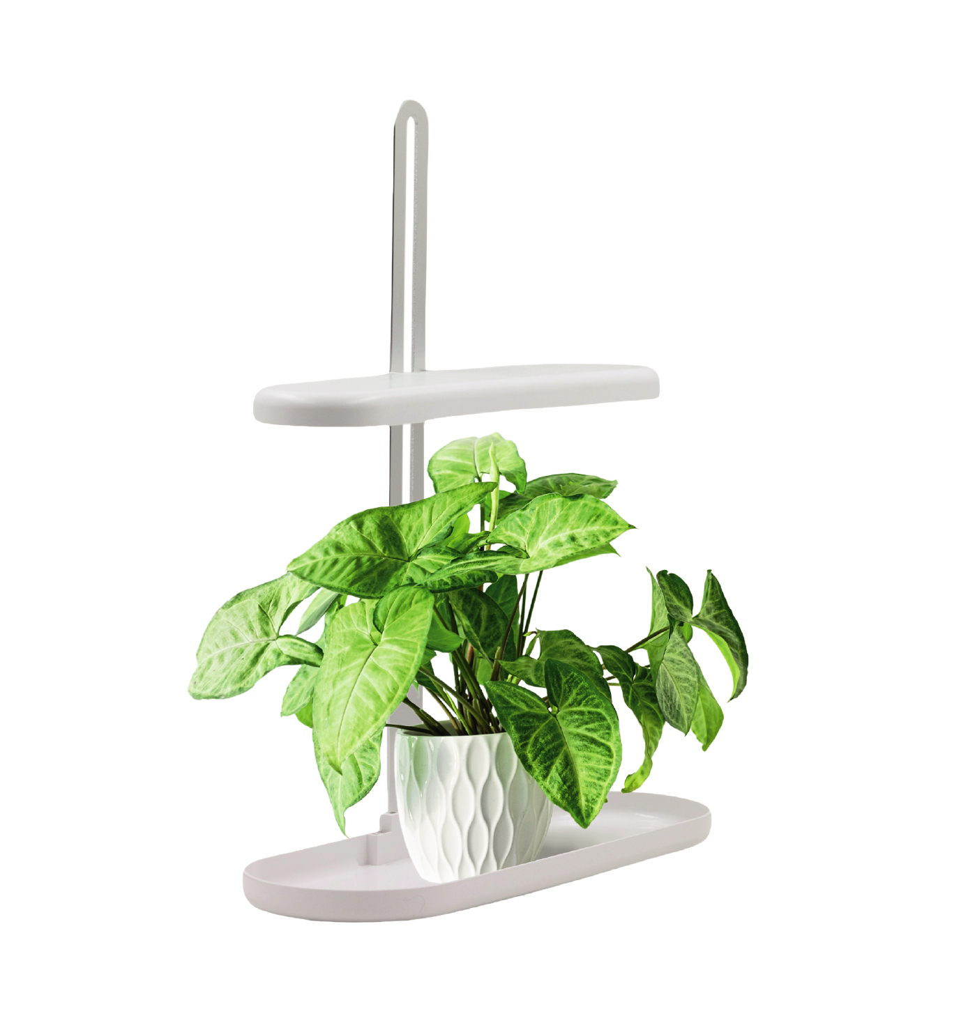 Led Energie Horti växtbelysning med bas 10W 5000K USB