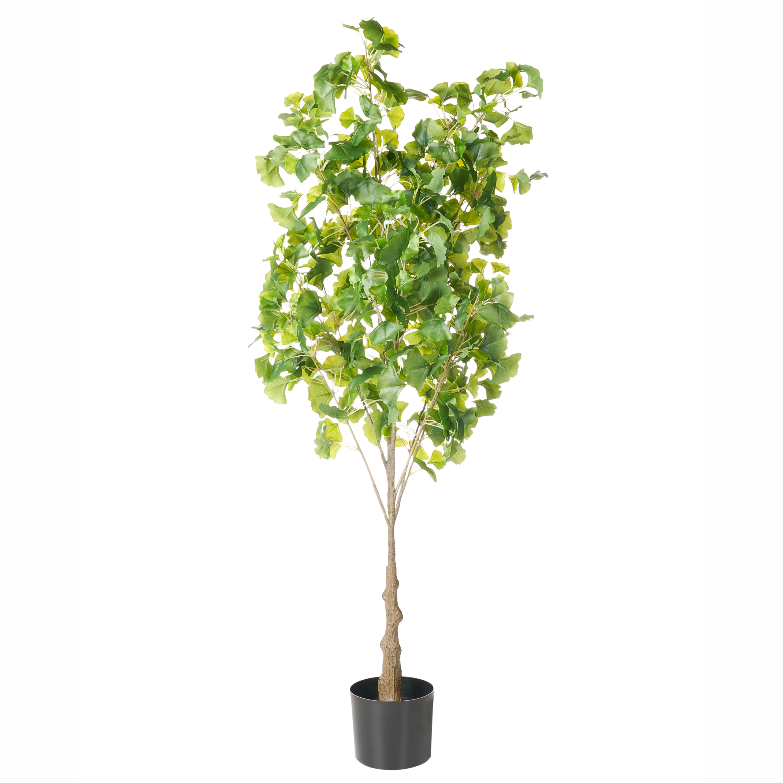 Konstgjord växt GINKGO TREE 150 cm Grön