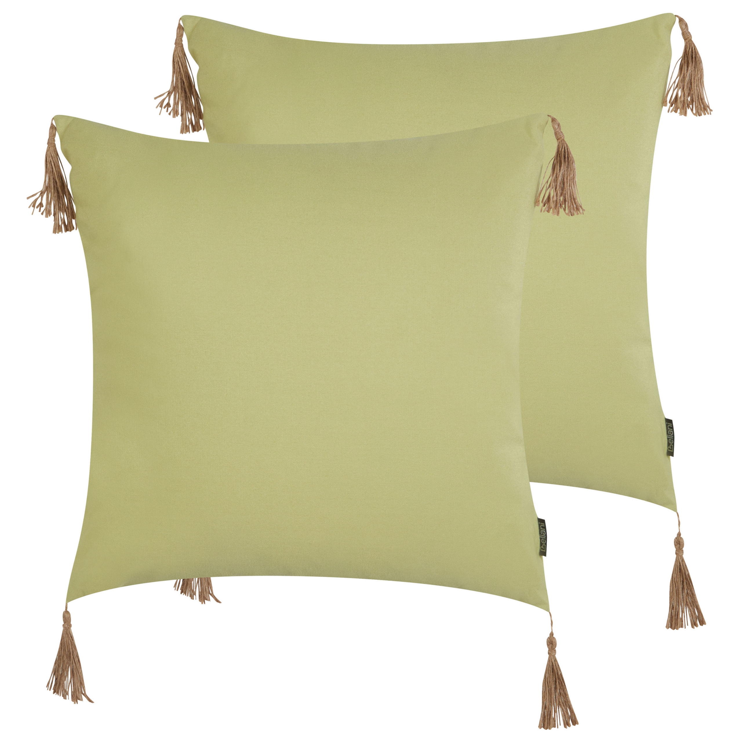Set med 2 prydnadskuddar CHMISTAR 45 x 45 cm Grön Monokromt
