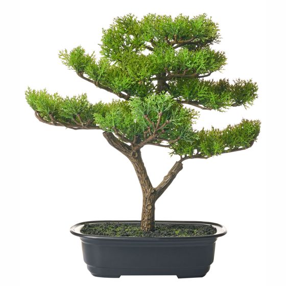 Konstgjord växt PINE 37 cm Grön