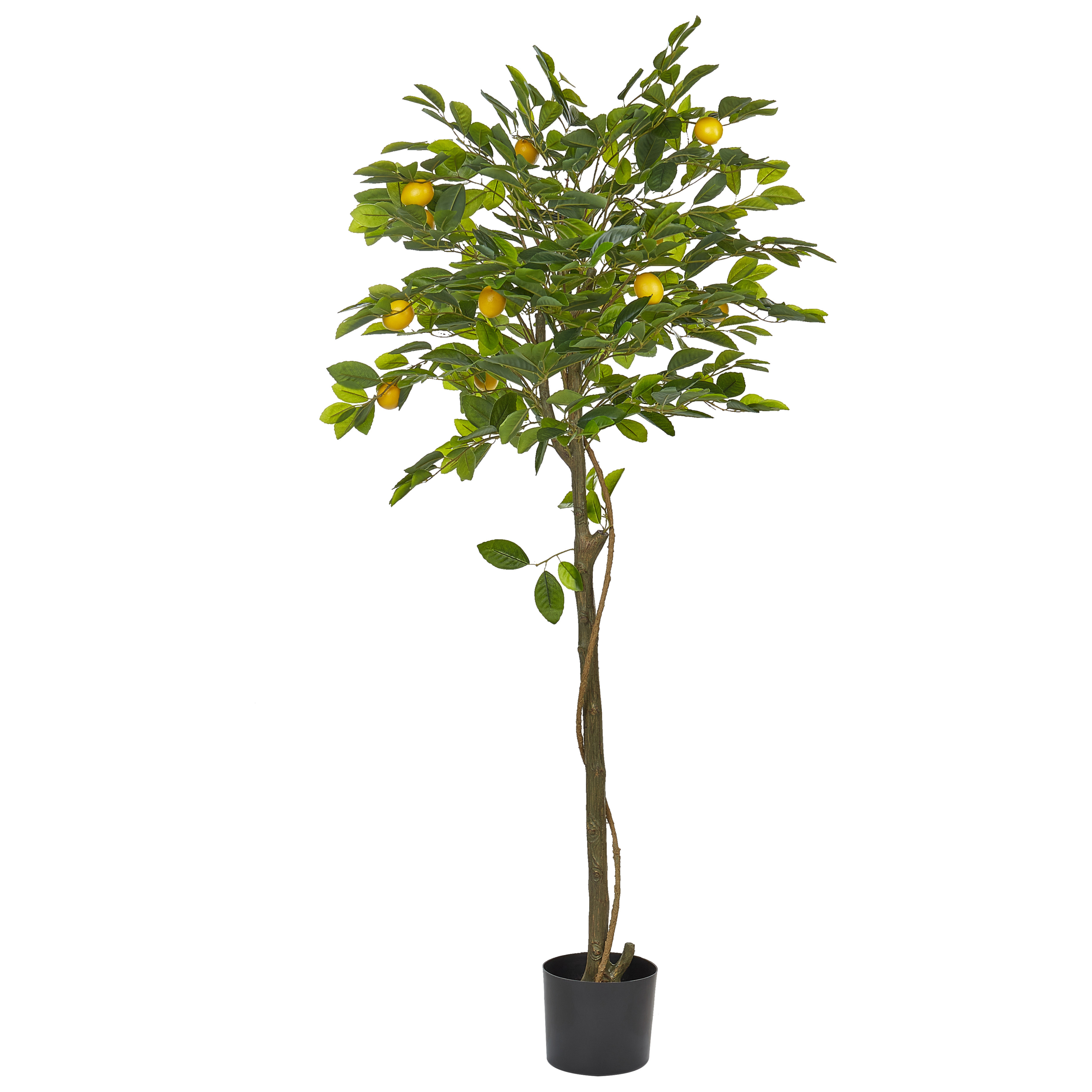 Konstgjord växt LEMON TREE 156 cm Grön