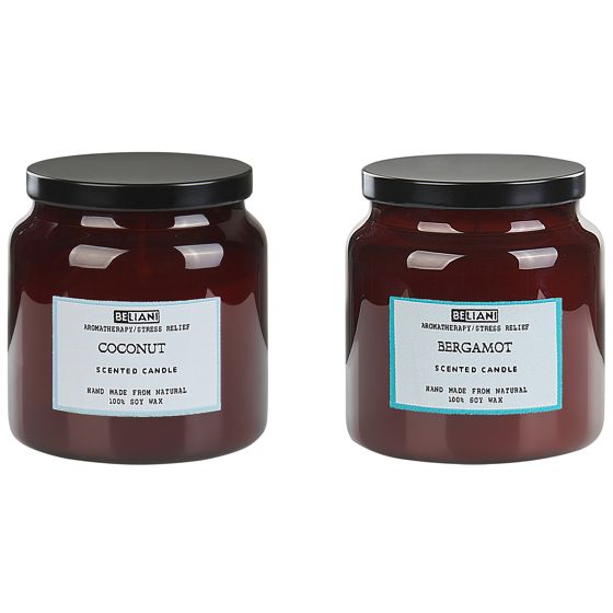 Doftljus 2-pack ABSOLUTE ALCHEMY Sojavax Friska doftnoter