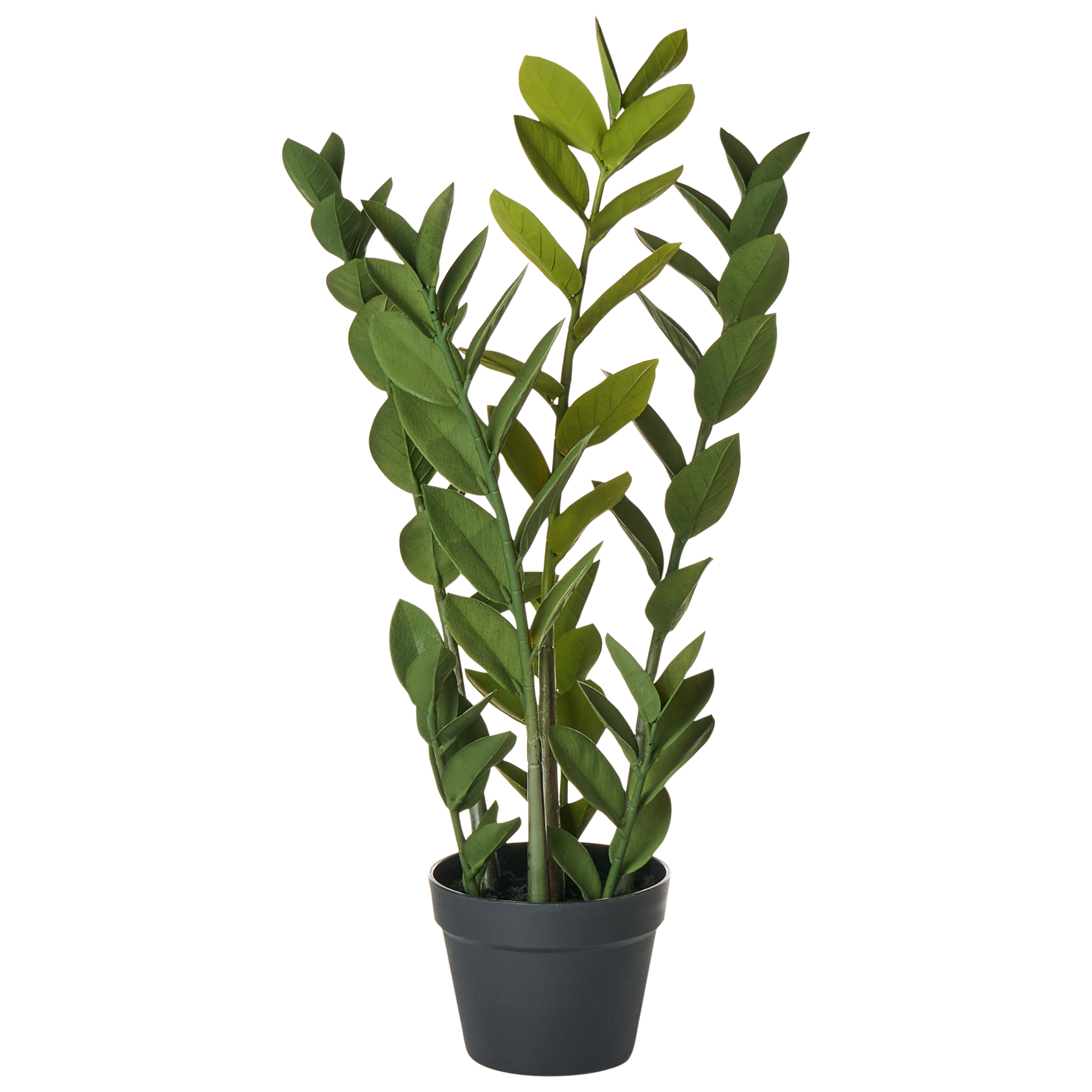 Konstgjord växt ZAMIIFOLIA 76 cm Grön