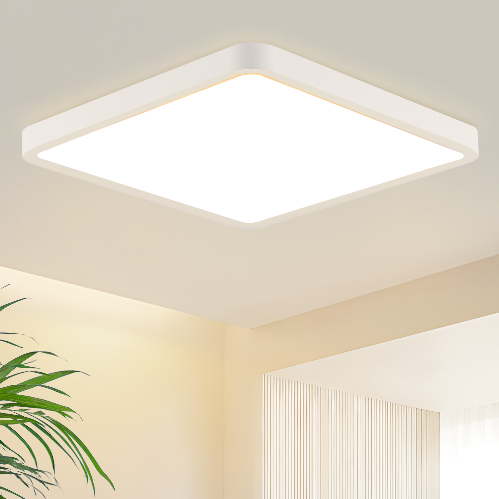 NETTLIFE platt, LED-taklampa, 23 cm, 3000, 18 W, fyrkantig, för sovrum Vit, integrerad LED, permanent