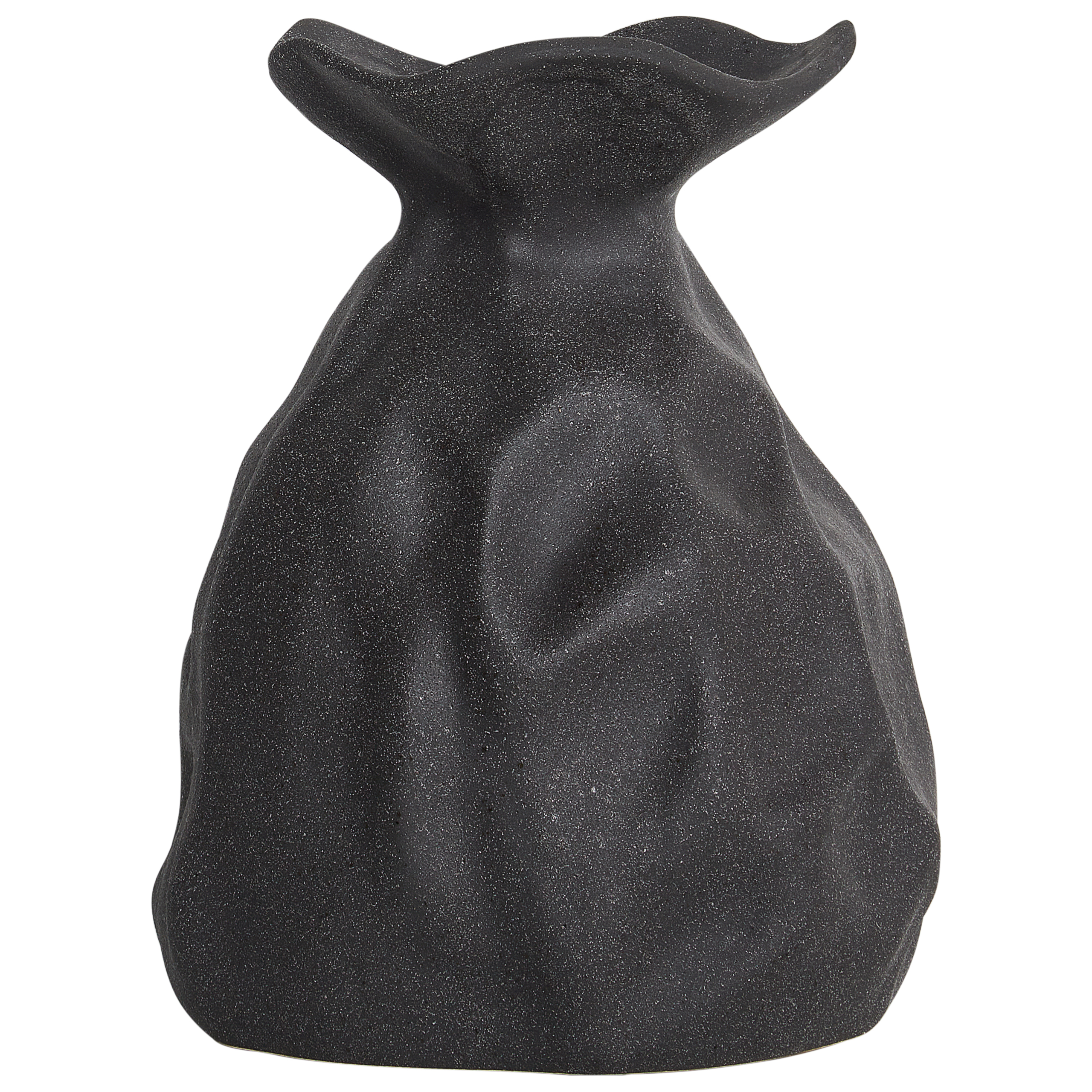 Blomvas COONTAIL 31 cm Stengods Svart