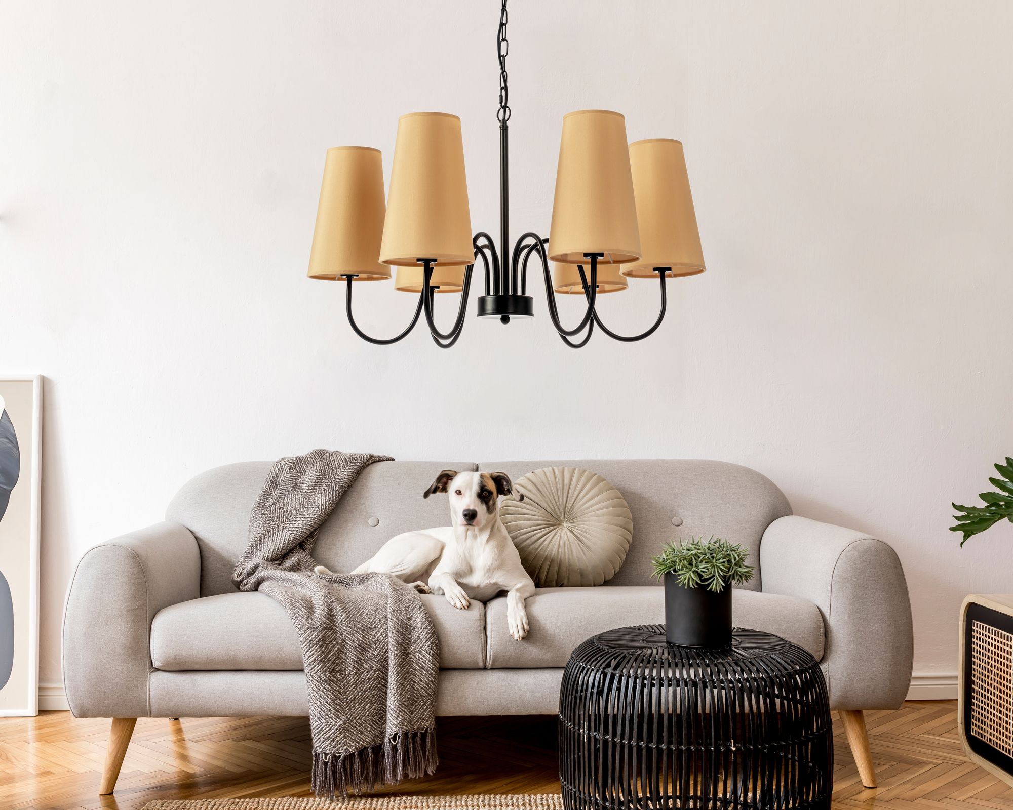 TOOLIGHT hängande taklampa APP753-6 Svart 70x70x110cm