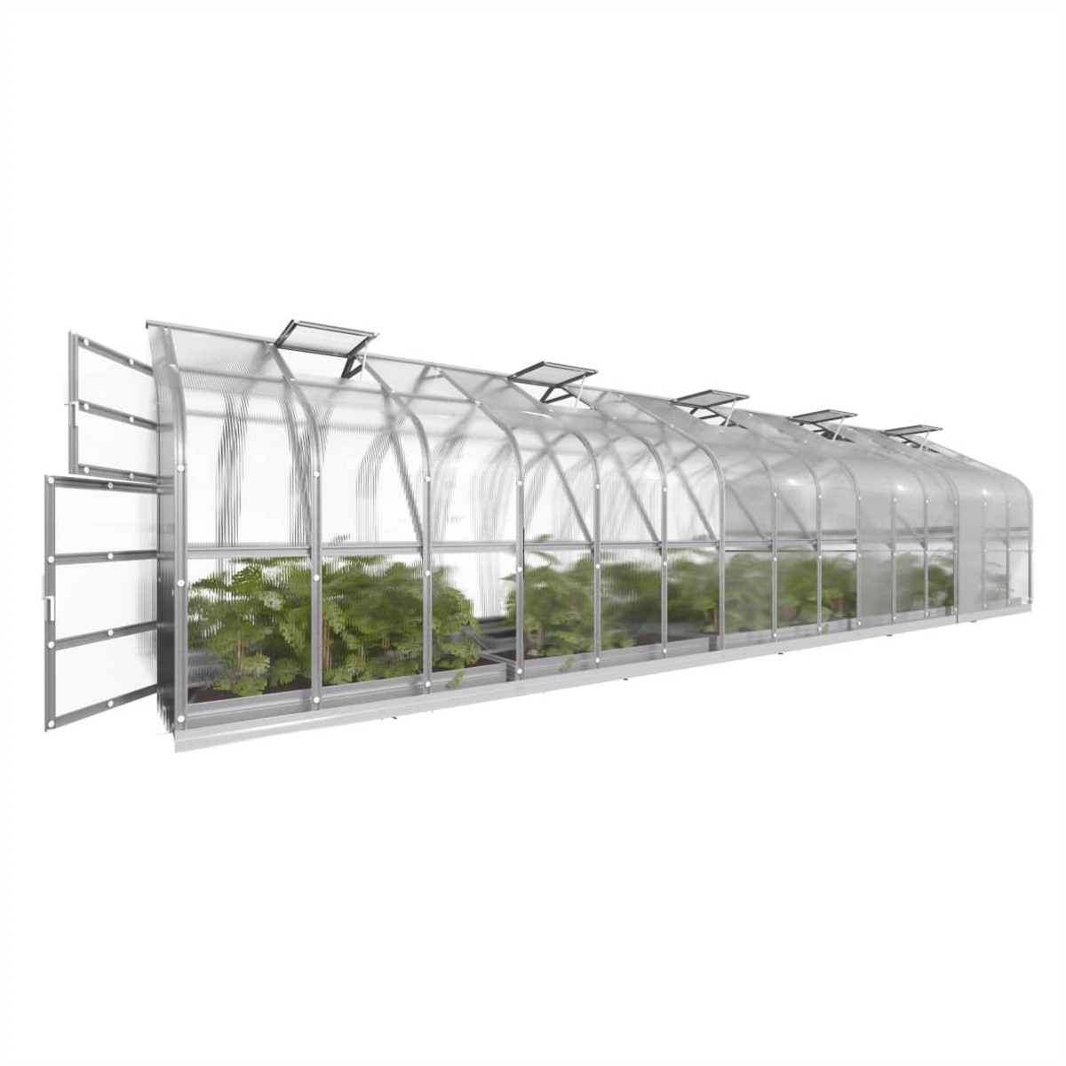 Växthus Standard KLASIKA 30 m2, 2,5 m x 12 m, 6 mm polykarbonatskydd (6 takfönster)