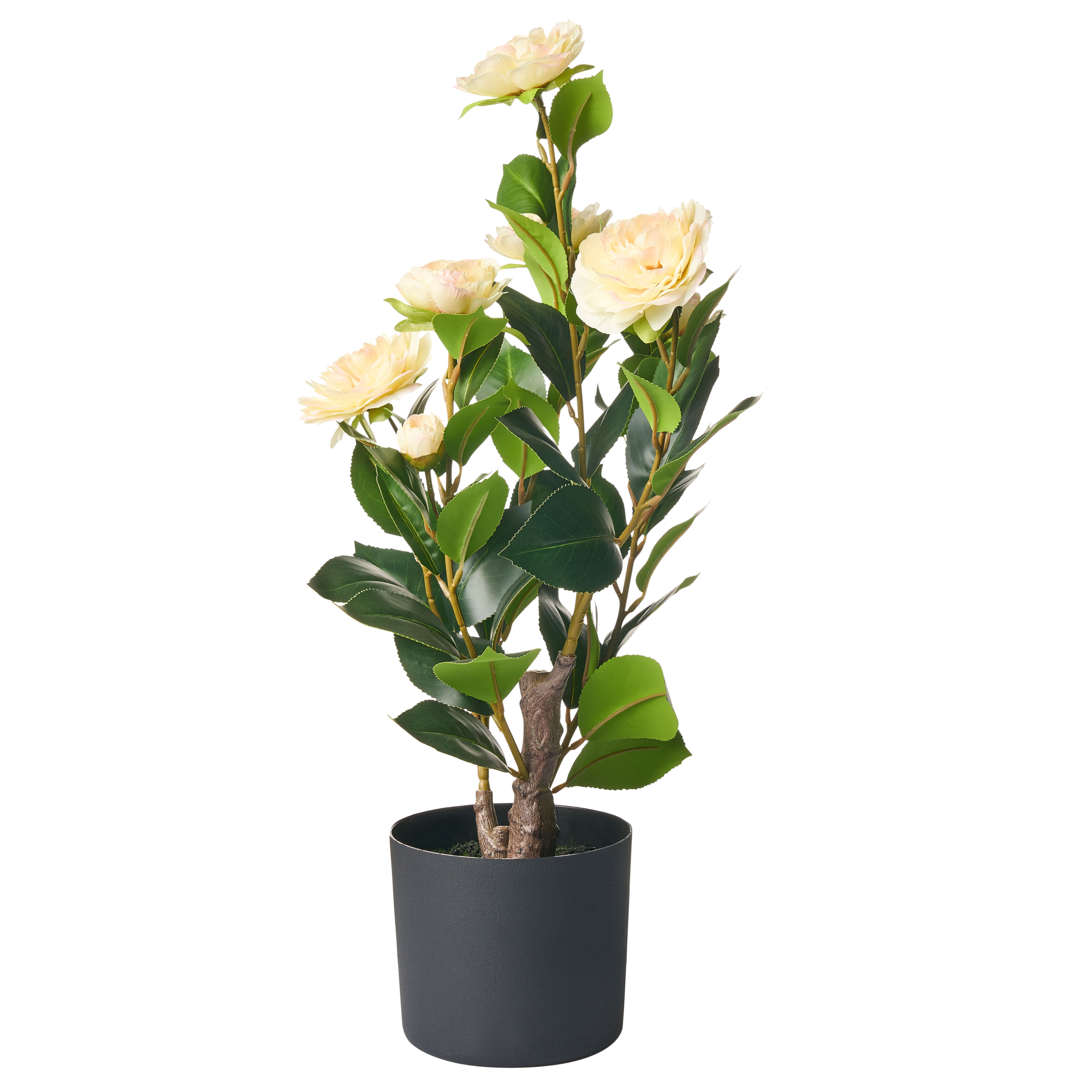 Konstgjord växt CAMELLIA 60 cm Grön