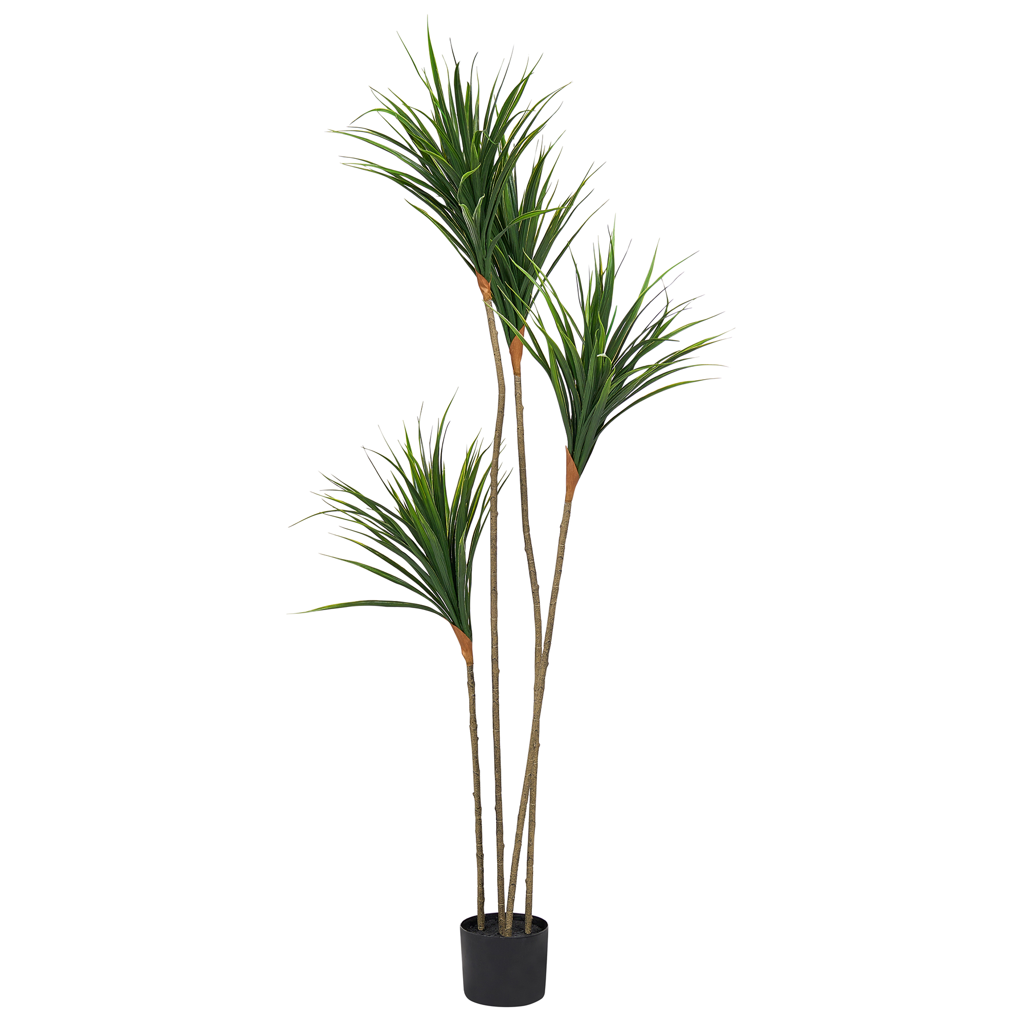 Konstgjord växt DRACAENA DRACO 165 cm Grön