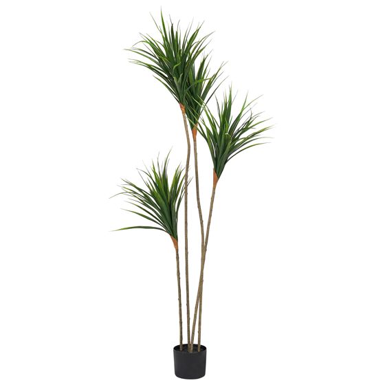 Konstgjord växt DRACAENA DRACO 165 cm Grön
