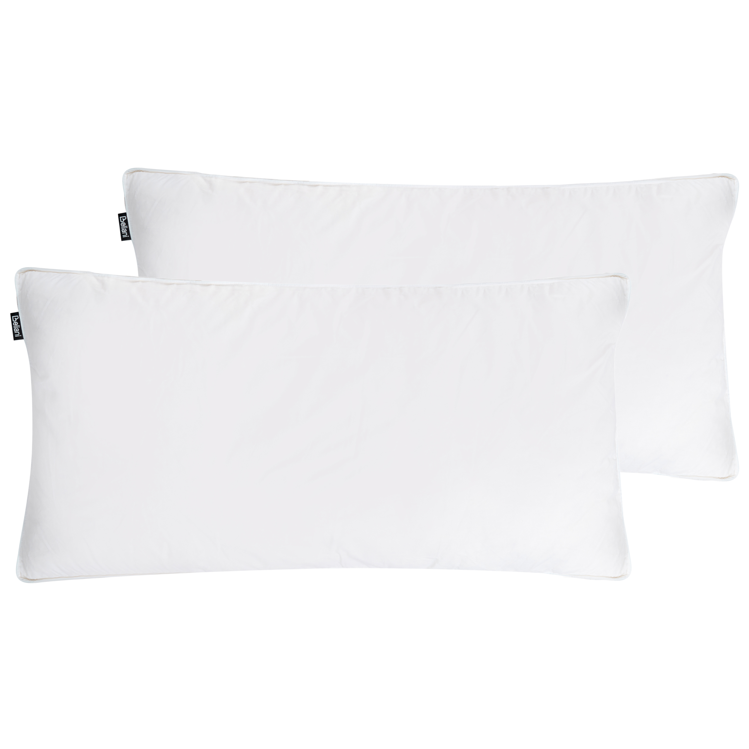Set med 2 sovkuddar FELDBERG Hög 40 x 80 cm Ankfjädrar och dun Vit