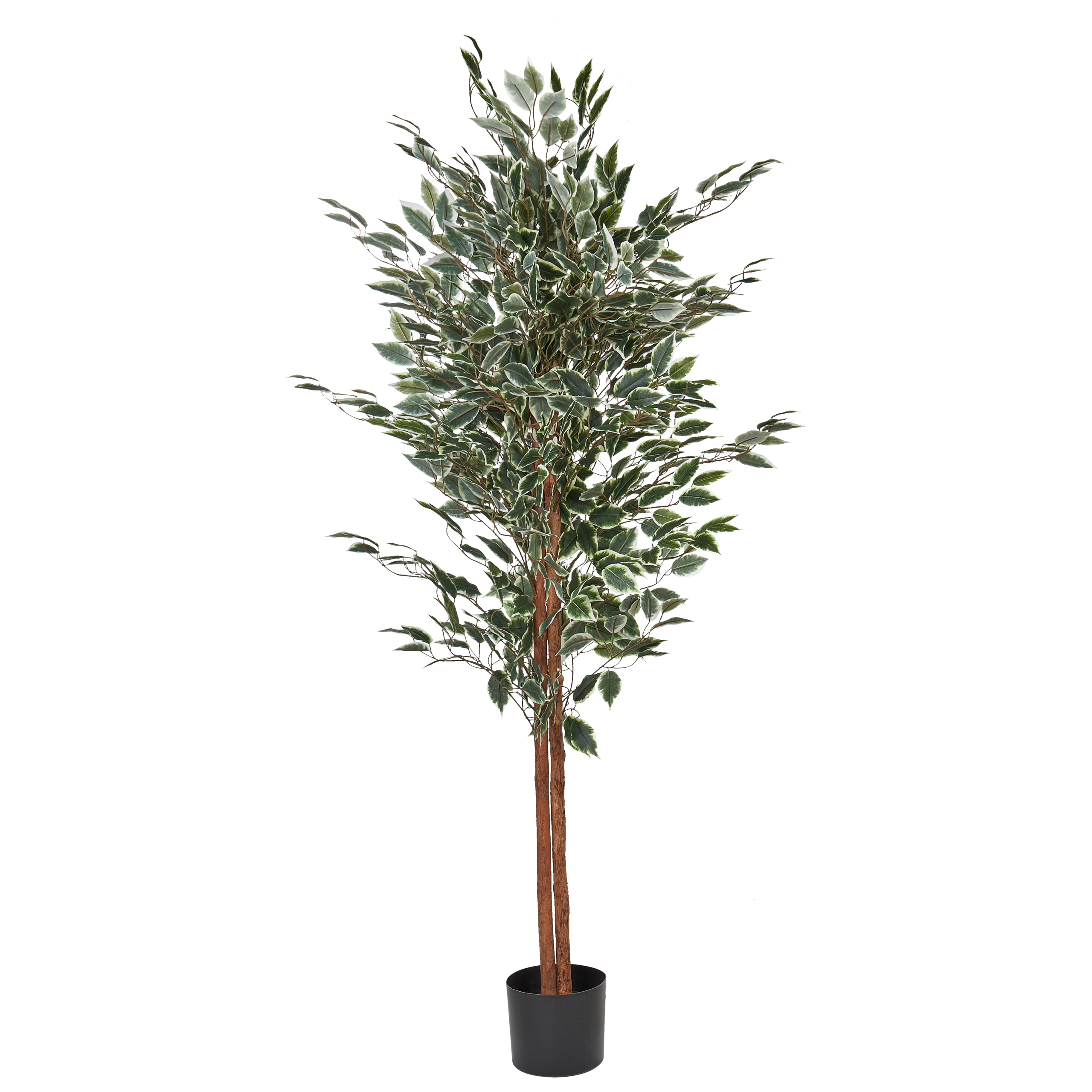 Konstgjord växt FICUS 167 cm Grön
