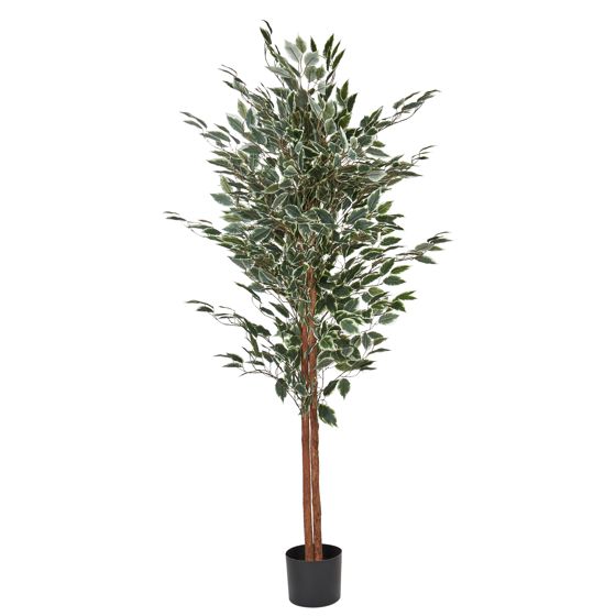 Konstgjord växt FICUS 167 cm Grön