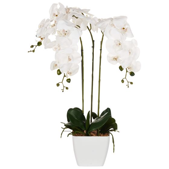 Konstgjord växt ORCHID 59 cm Vit