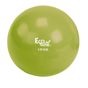 Eco Body Konditionsboll 1,5kg