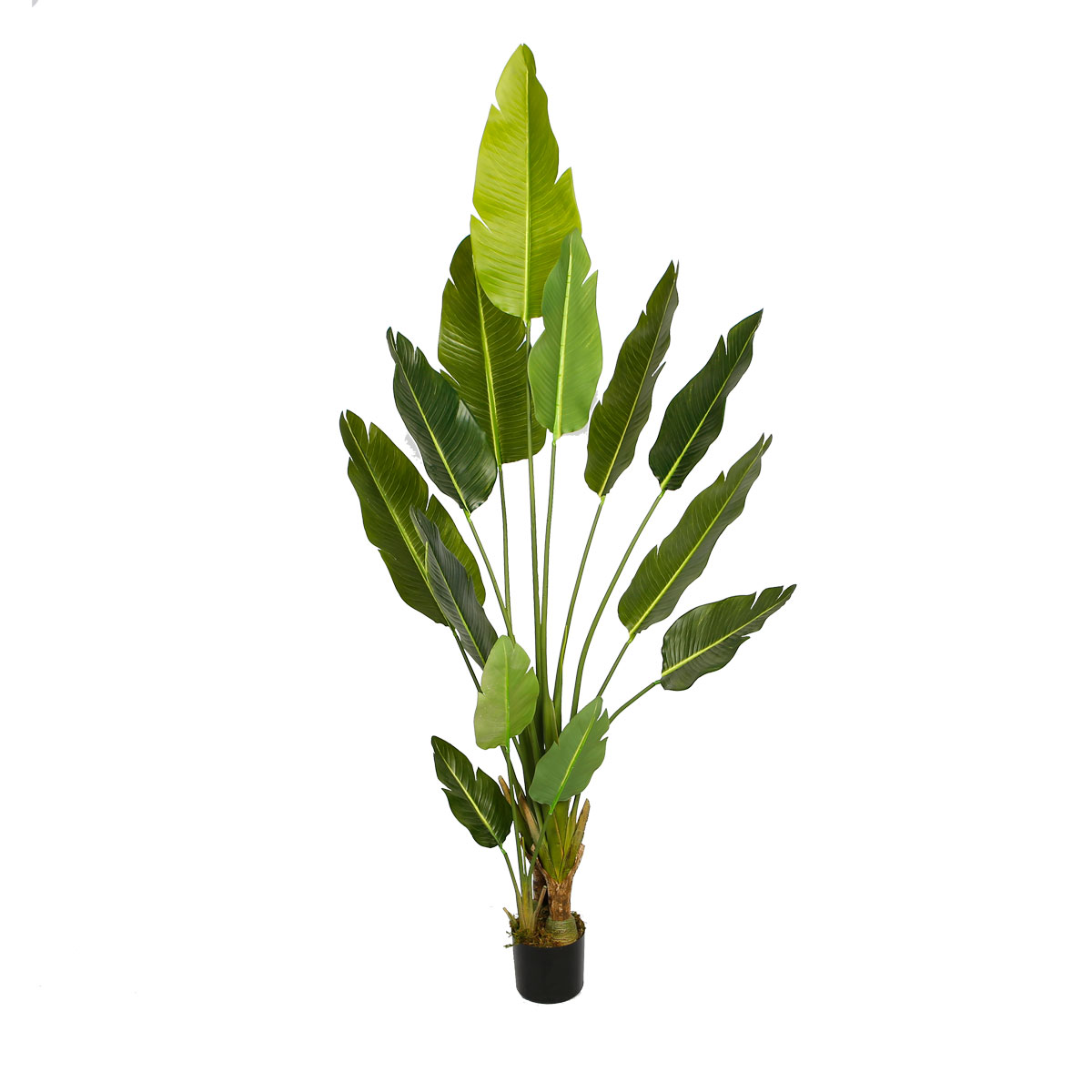 Lykke Konstväxt Bird of Paradise 200cm