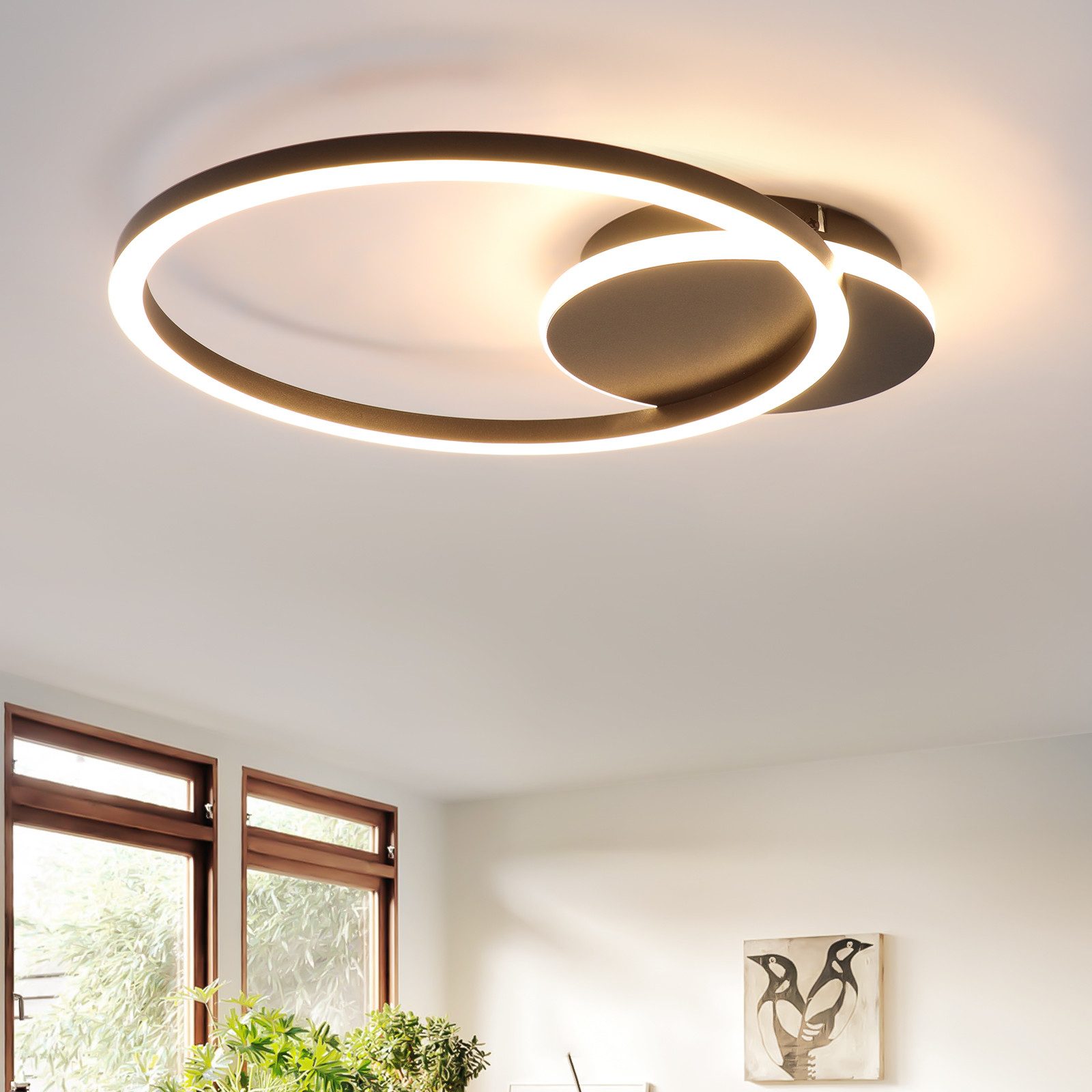 NETTLIFE LED - taklampa, för vardagsrum, 24W, svart, modern, 2 ringar, 3000K, varm, vit