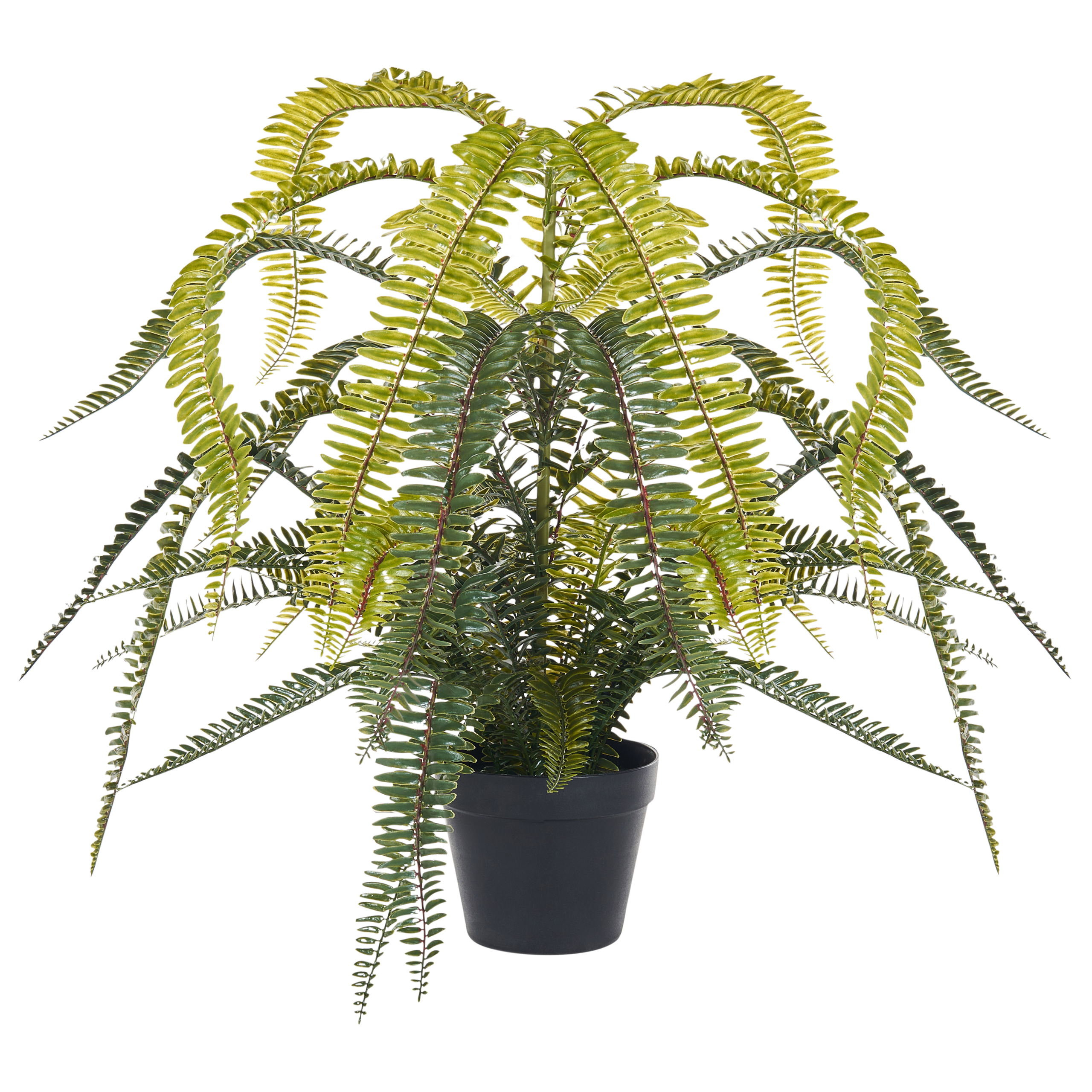 Konstgjord växt FERN LEAF PLANT 105 cm Grön