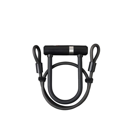 AXA Newton Mini Pro + Cable 100/10 bygellås