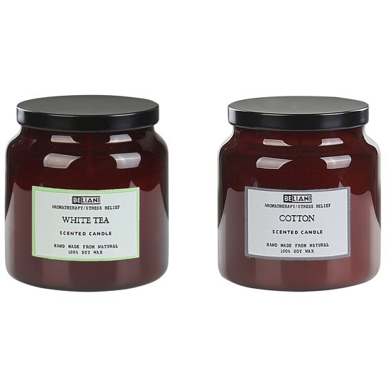 Doftljus 2-pack ABSOLUTE ALCHEMY Sojavax Friska doftnoter