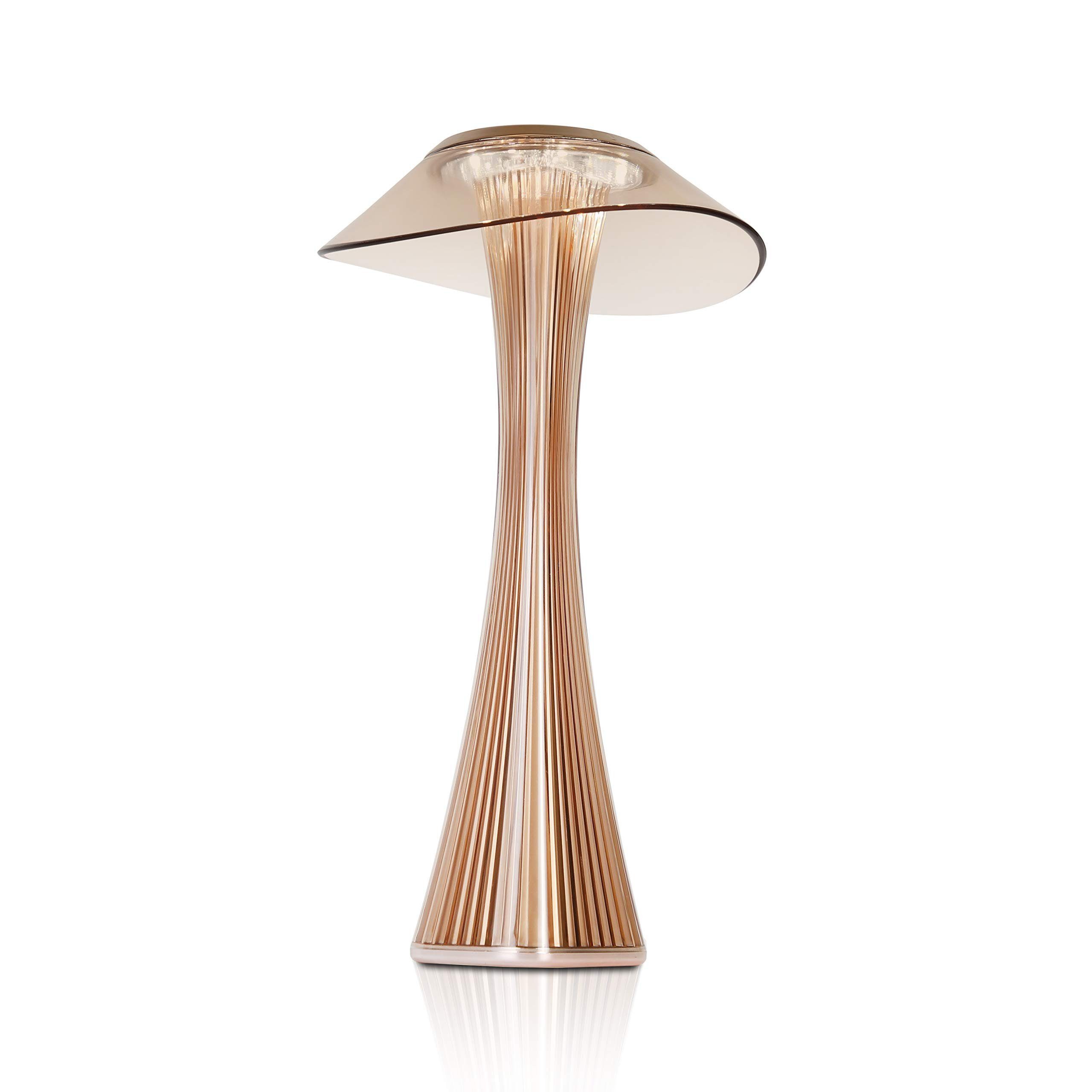 NETTLIFE LED-bordslampa Dimbar med touchfunktion, med batterilampa, för dagtid, nattlampa, med USB