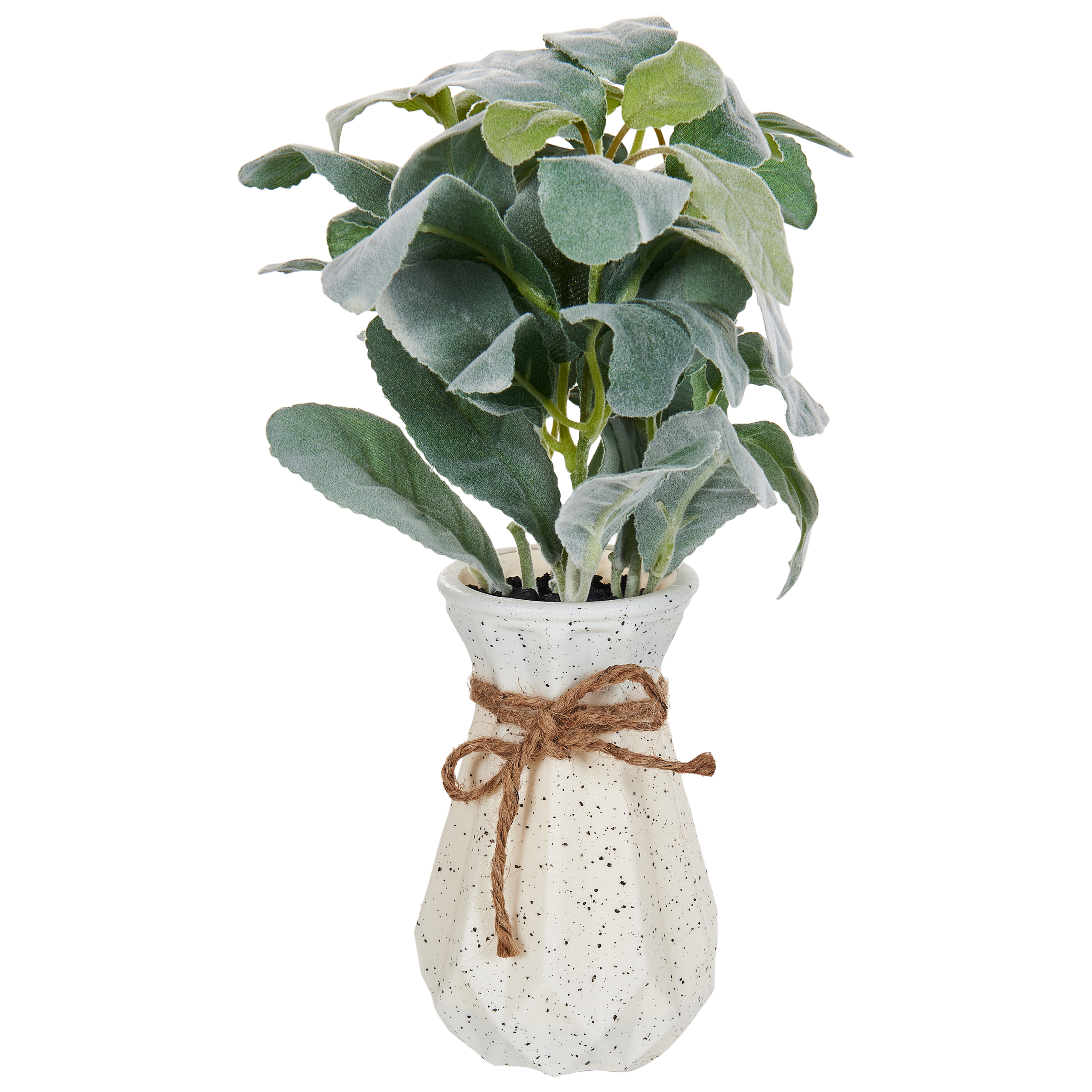 Konstgjord växt PEPEROMIA ARGYREIA 30 cm Grön