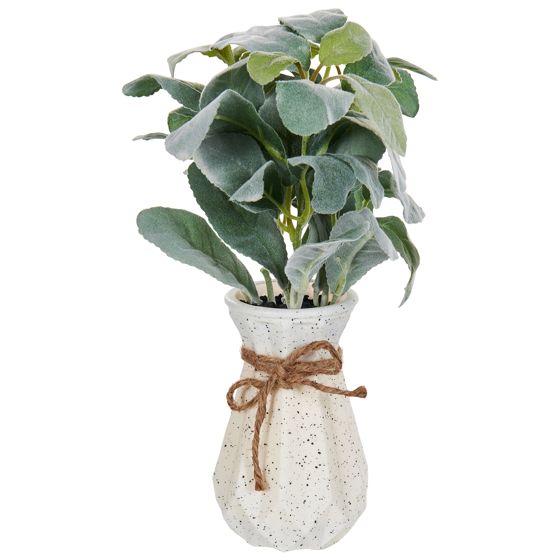 Konstgjord växt PEPEROMIA ARGYREIA 30 cm Grön