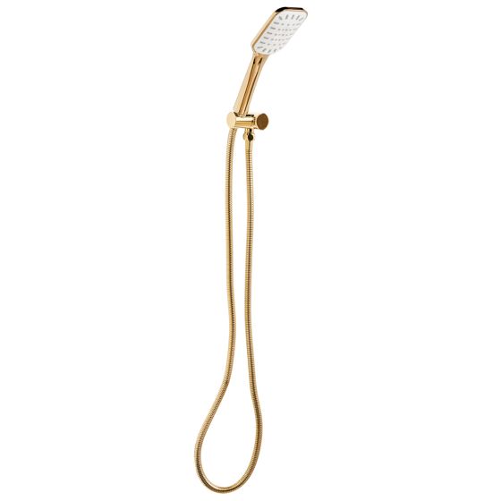 Duschhuvud och slangkit AMAJA Guld