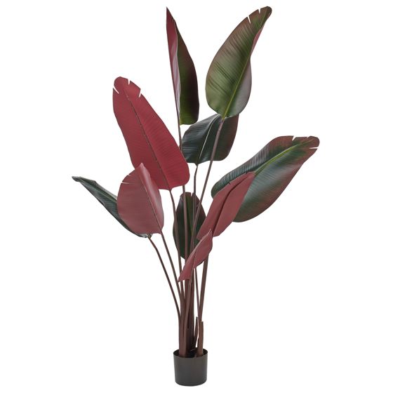 Konstgjord växt BANANA TREE 163 cm Grön