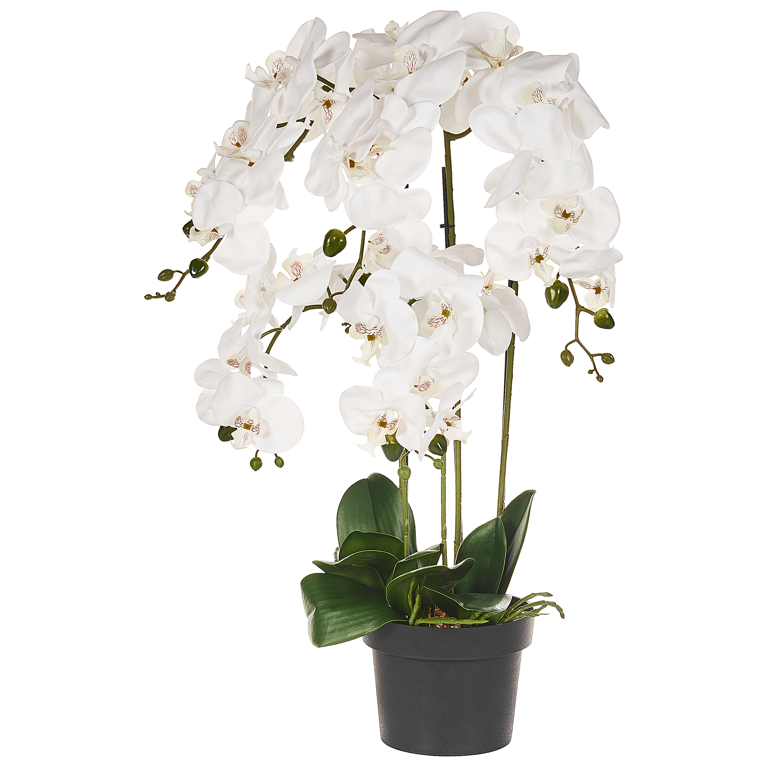 Konstgjord växt ORCHID 65 cm Vit