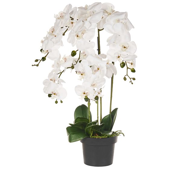 Konstgjord växt ORCHID 65 cm Vit
