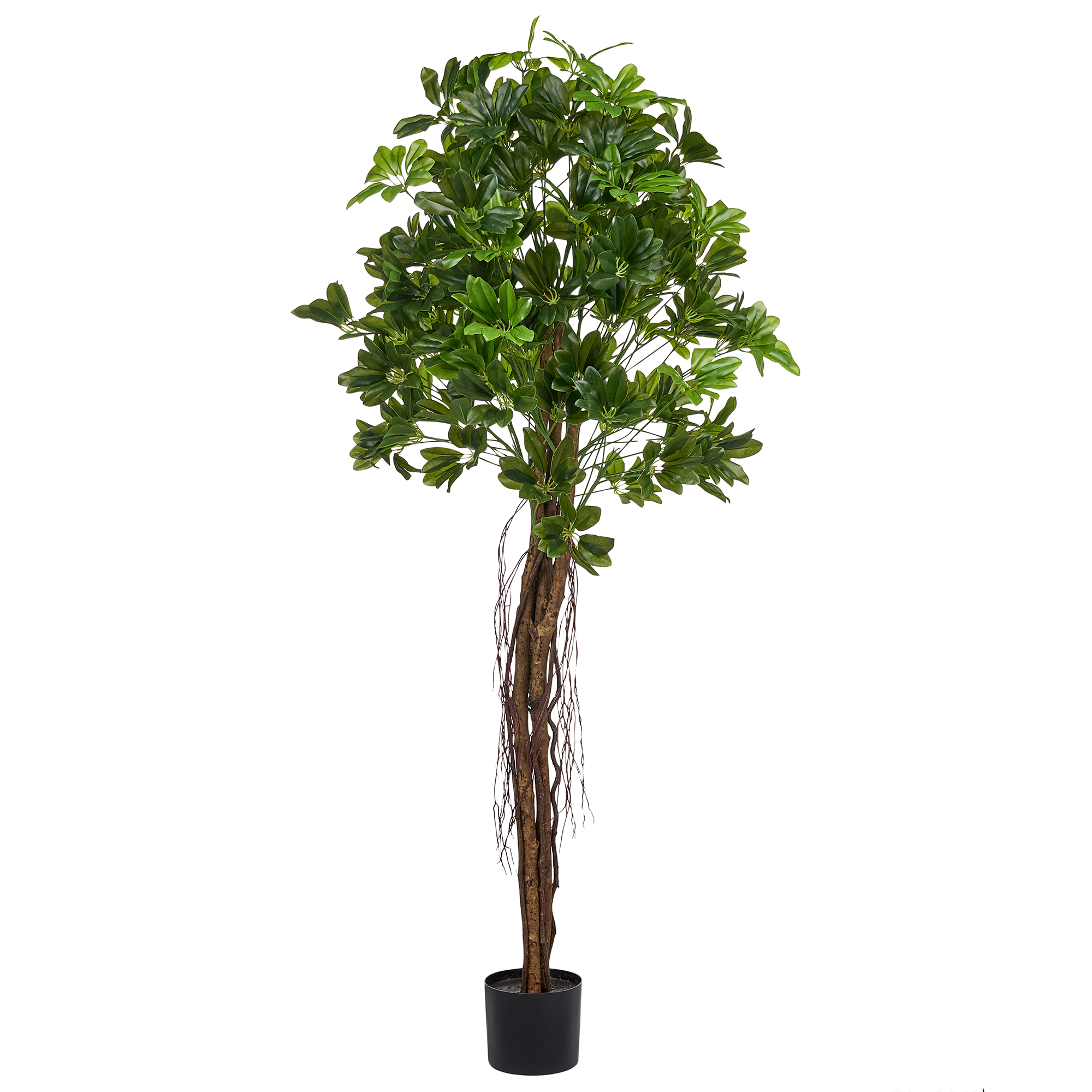 Konstgjord växt UMBRELLA TREE 175 cm Grön