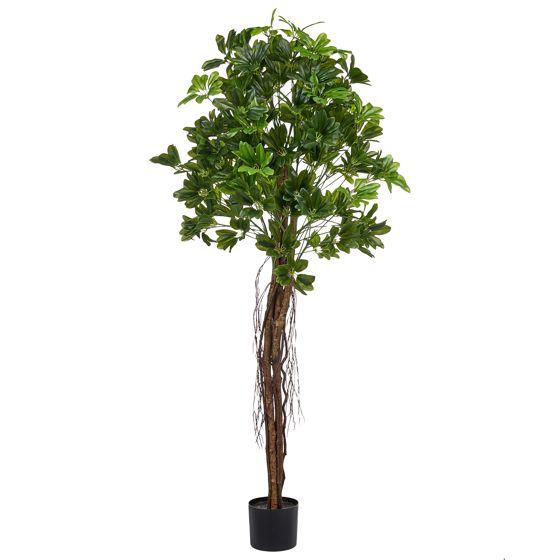 Konstgjord växt UMBRELLA TREE 175 cm Grön