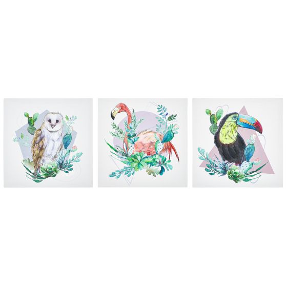 Set med 3 canvastavlor MENAKA 30 x 30 cm Djurmotiv Flerfärgad