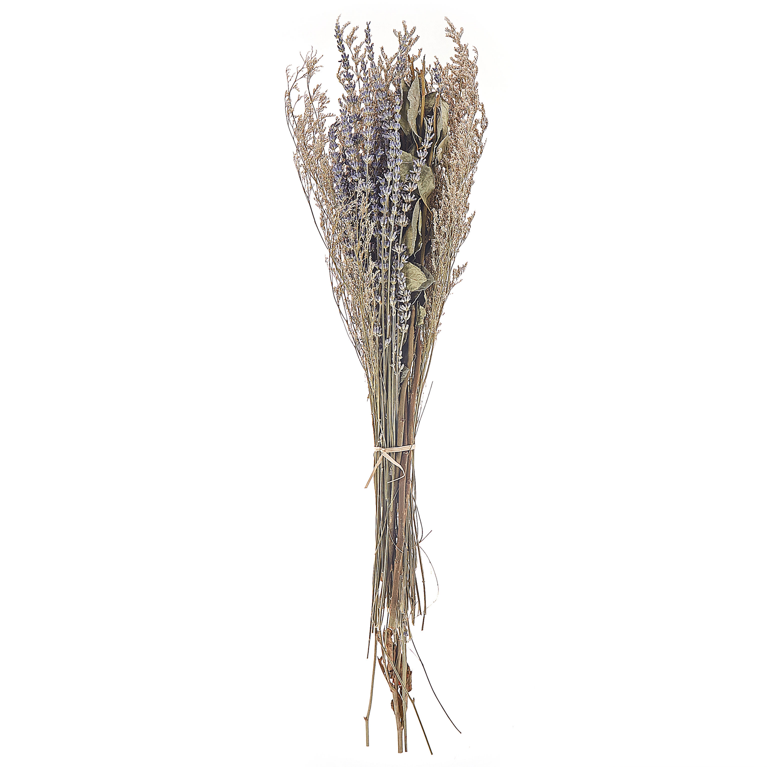 Torkad blombukett NAWARRA 70 cm Naturlig