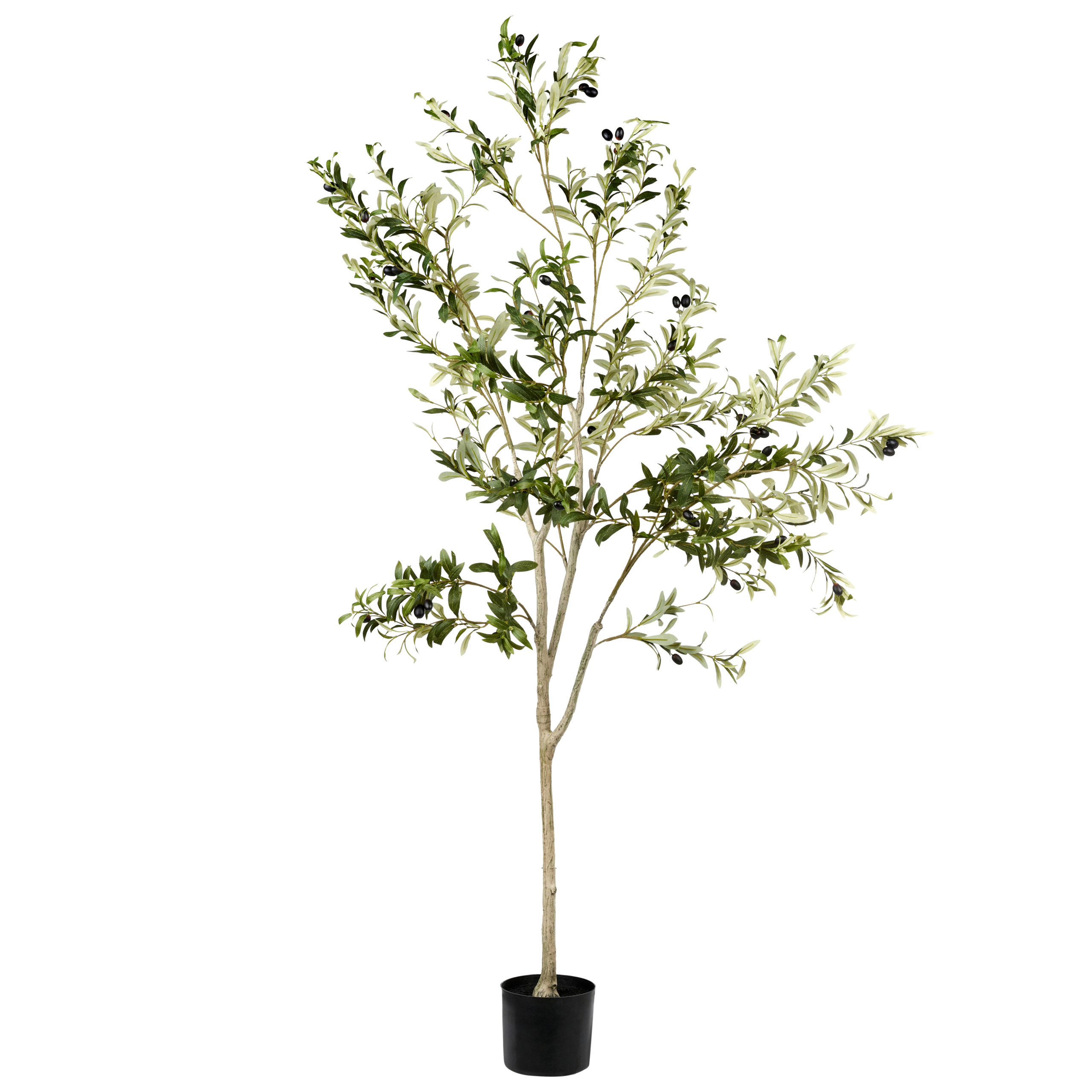Konstgjord växt OLIVE TREE 178 cm Grön