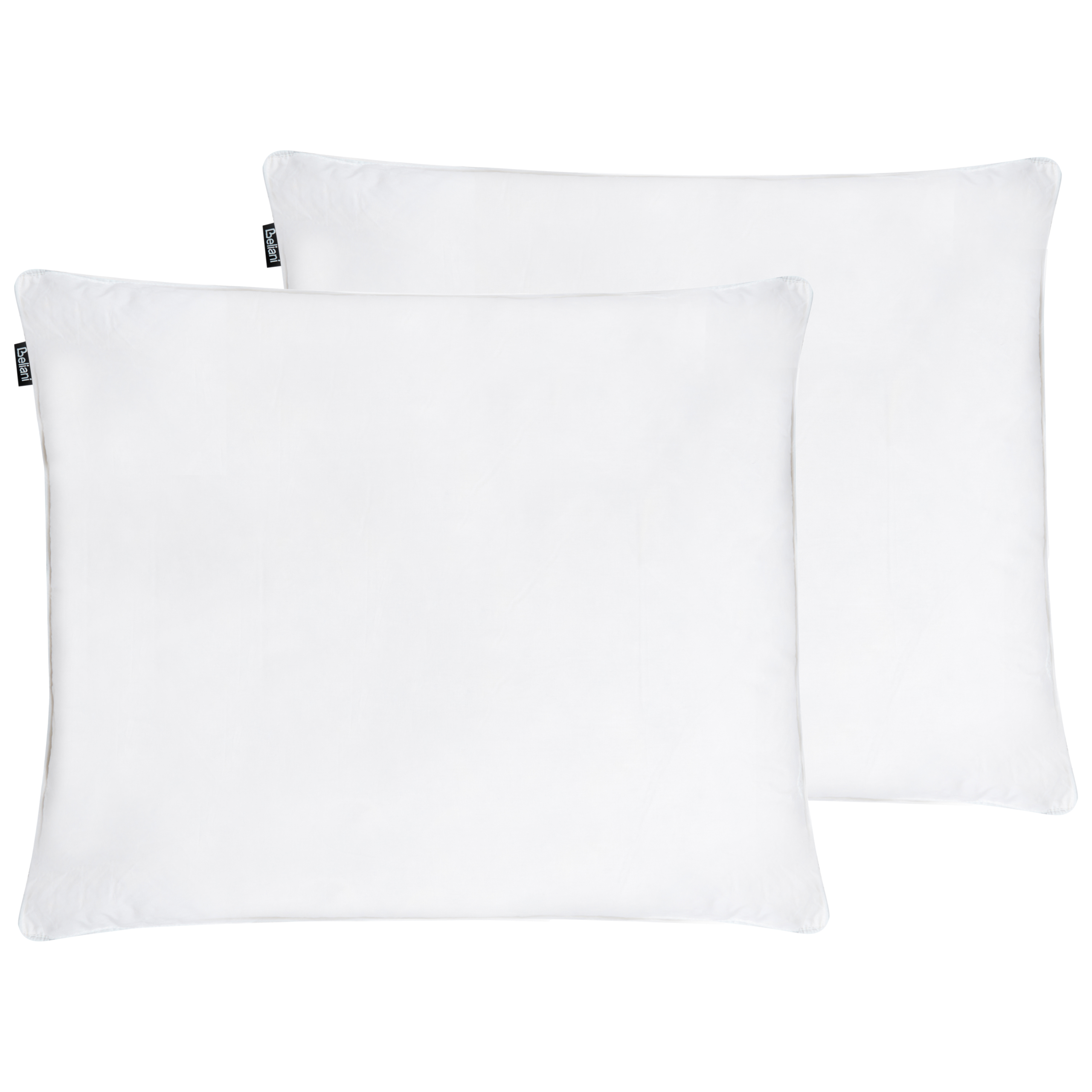 Set med 2 sovkuddar FELDBERG Hög 50 x 60 cm Ankfjädrar och dun Vit