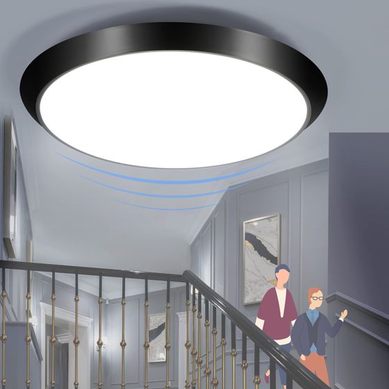 NETTLIFE LED - taklampa, för inomhusbruk med rörelsesensor, svart IP44 15 W, Rund källarlampa, med rörelsesensor Ø 30 cm, 4000K