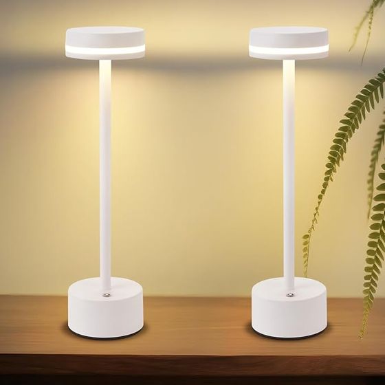 NETTLIFE batteridriven bordslampa trådlös LED-bordslampa 3000k-6500k dimbar sänglampa med USB-C silverfärgad touch-lampa