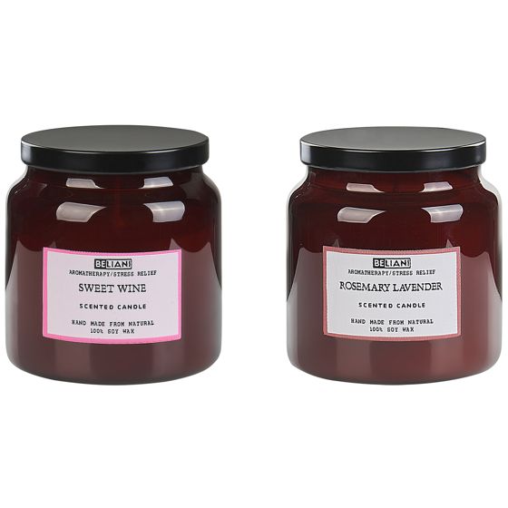 Doftljus 2-pack ABSOLUTE ALCHEMY Sojavax Friska doftnoter