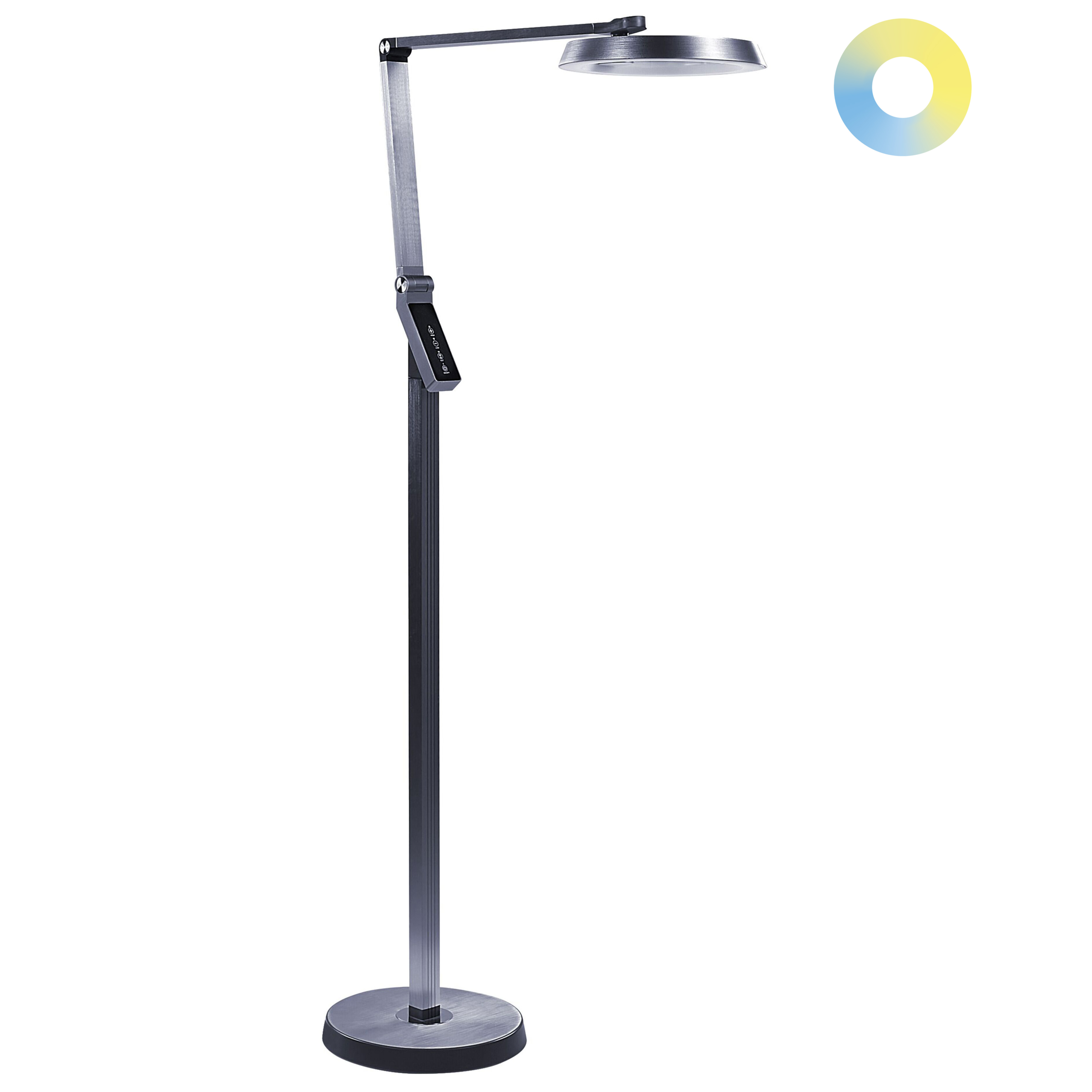 LED-golvlampa CARINA med dimmer Metall Mörkgrå