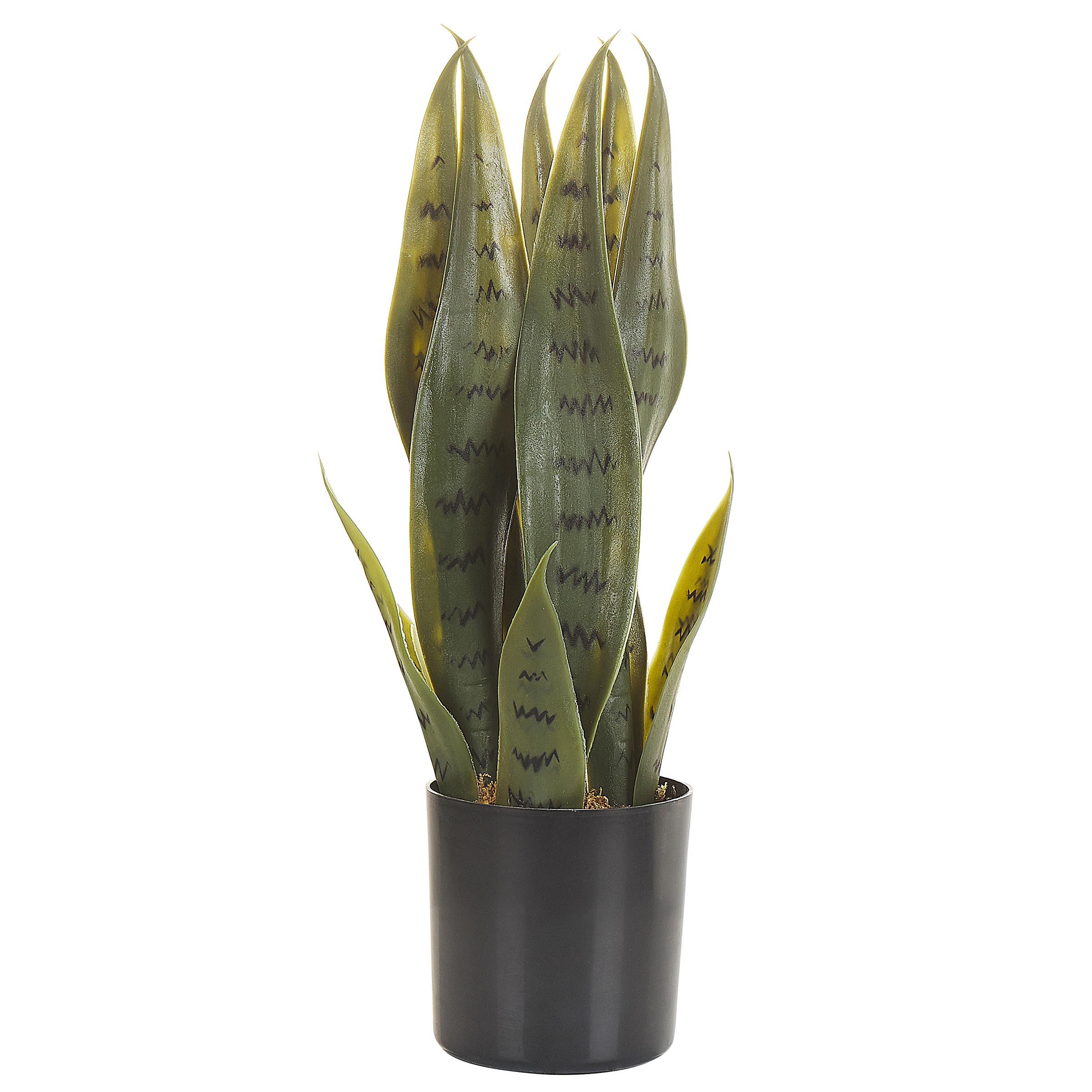 Konstgjord växt SNAKE PLANT 40 cm Grön